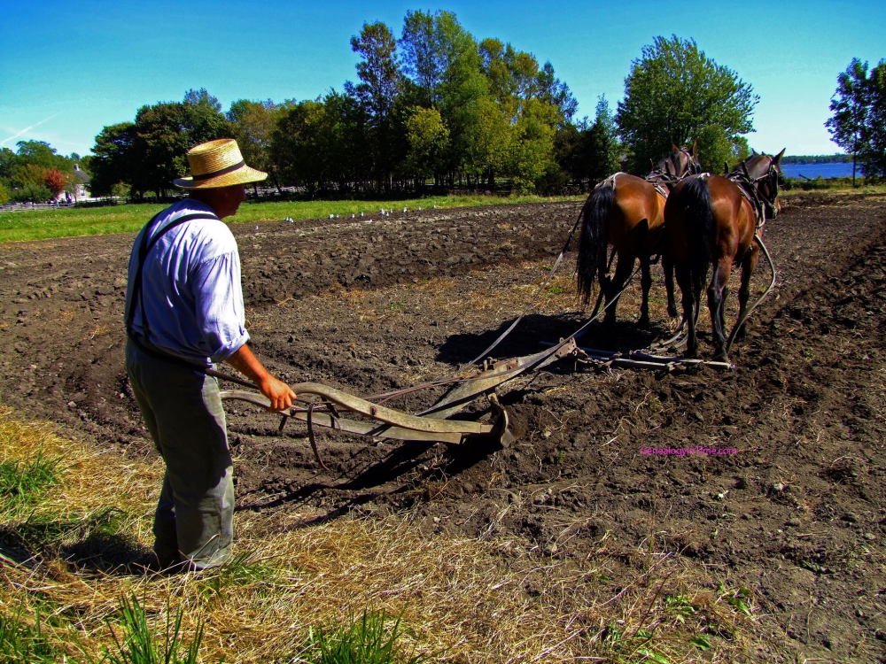 HANDS ON THE PLOW